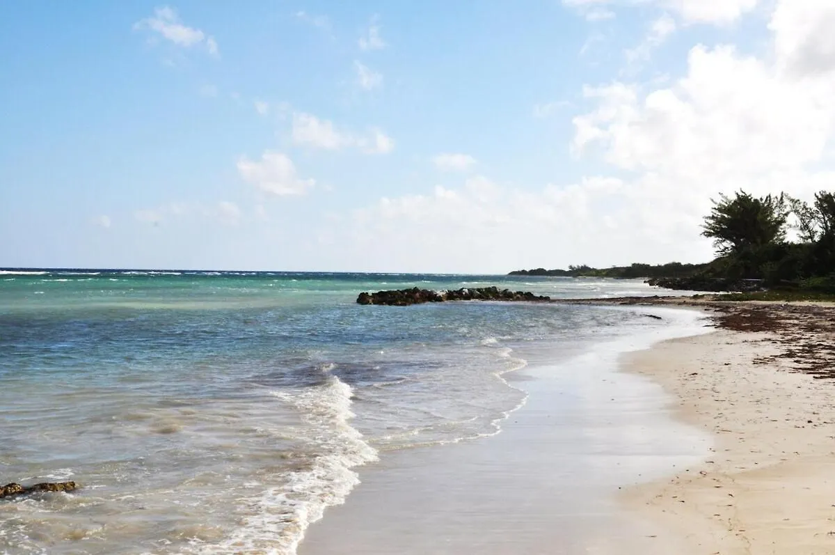 Calypso Villa - 2Bedrm 2Bathrm Pool View & Beach 203 Montego Bay 0*,
